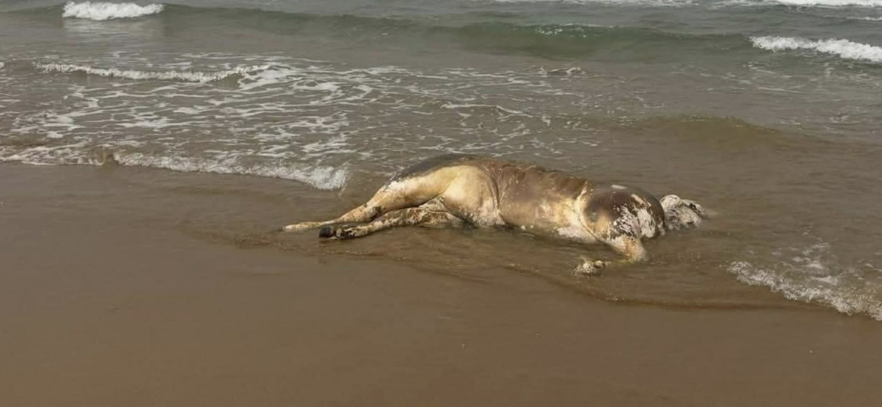 667027529-803766812804295-2843656379951546147-n