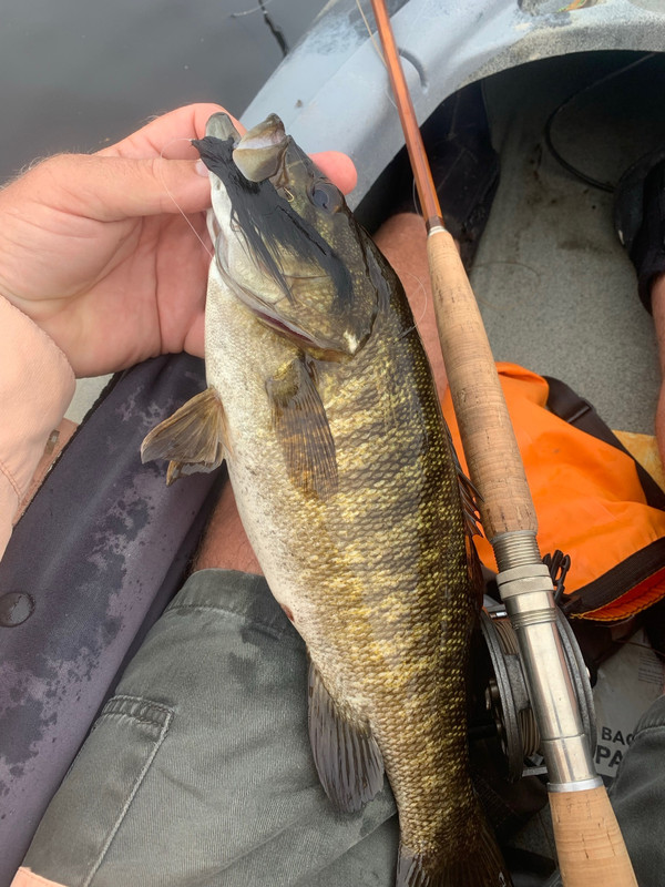 60B9353E-D6DD-48CB-8102-F8D16E56E2E4