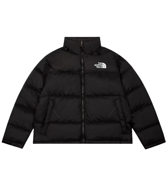 The North Face 1996 Down Jacket