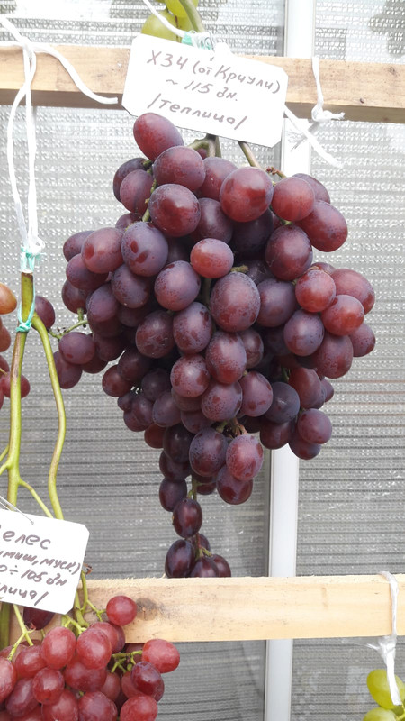 PHOTO-2023-09-17-09-06-25 (2)