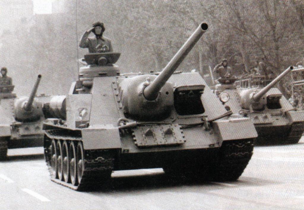 JNA-Su-100.jpg