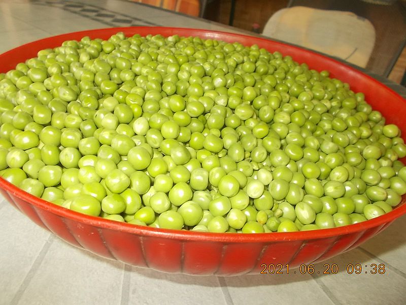https://i.postimg.cc/bw44pjHt/borsokifejtve-2021-vege.jpg