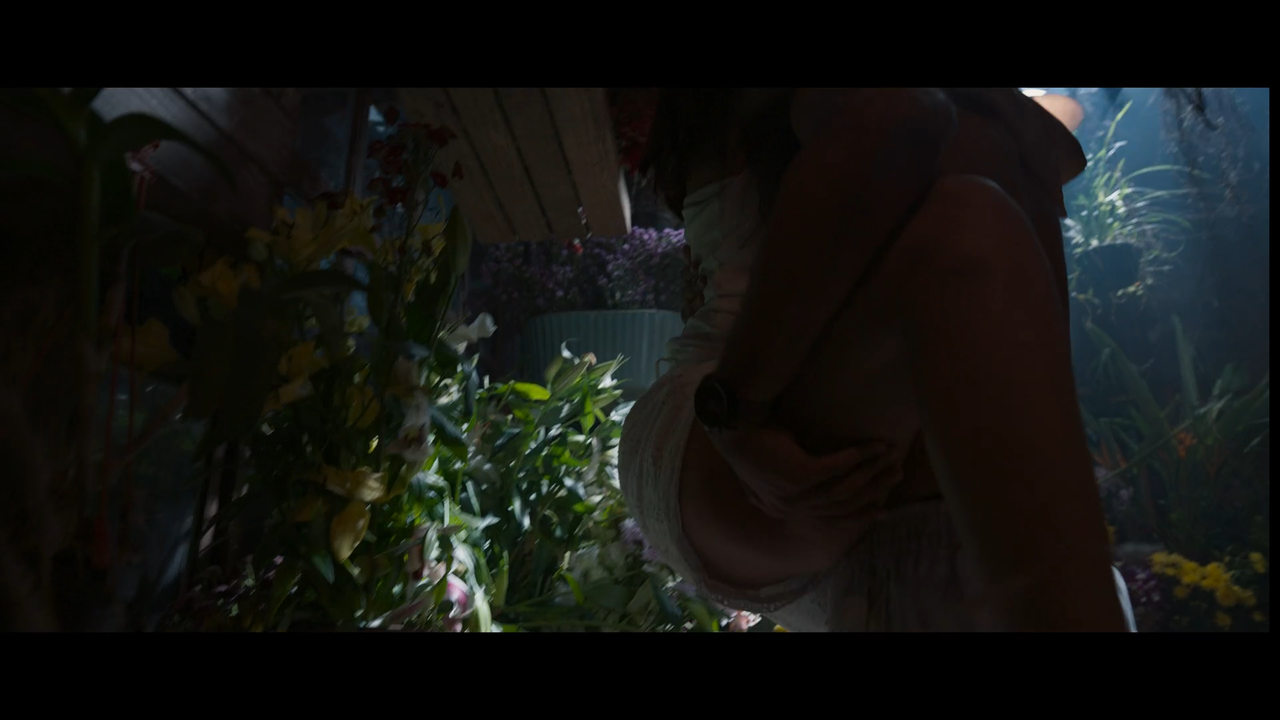 chup.00_00_15_17.Still005