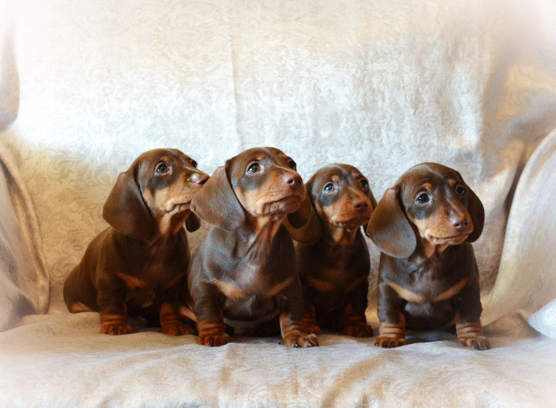 0CE36BAF-0B3D-4C7A-A35B-823CF2FA99CA