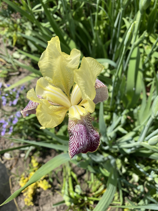 FBADC7FF-37AC-48DA-BDC7-9C9320F7F91B