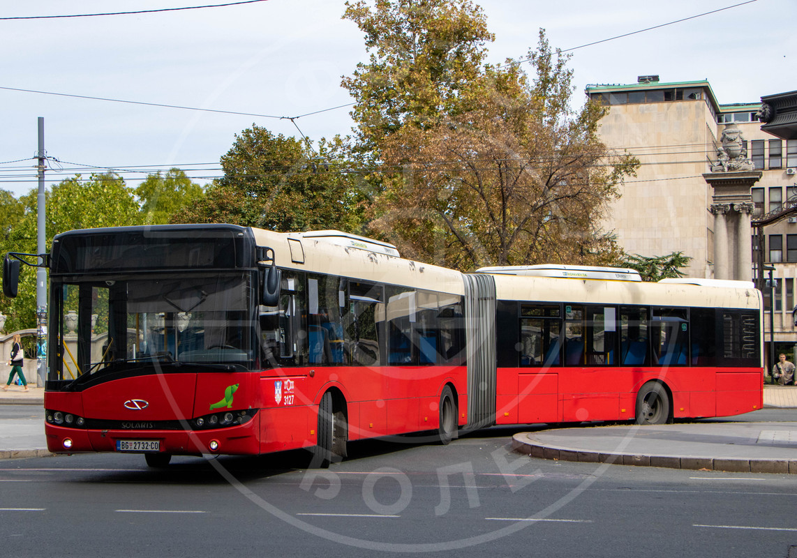 31271.jpg