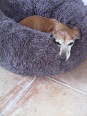 [Image: IMG-20240614-112904.jpg]