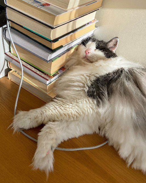 1-C322-F06-6530-43-C5-B9-B9-8-A321-E1-CC