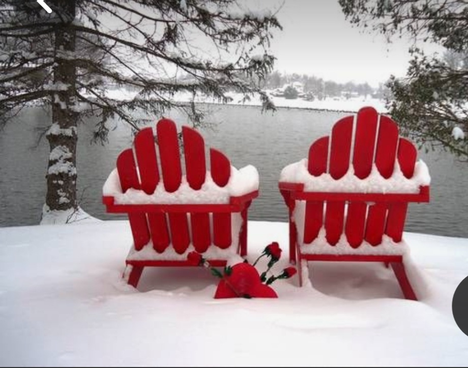 Screenshot_20240124_230431_Pinterest