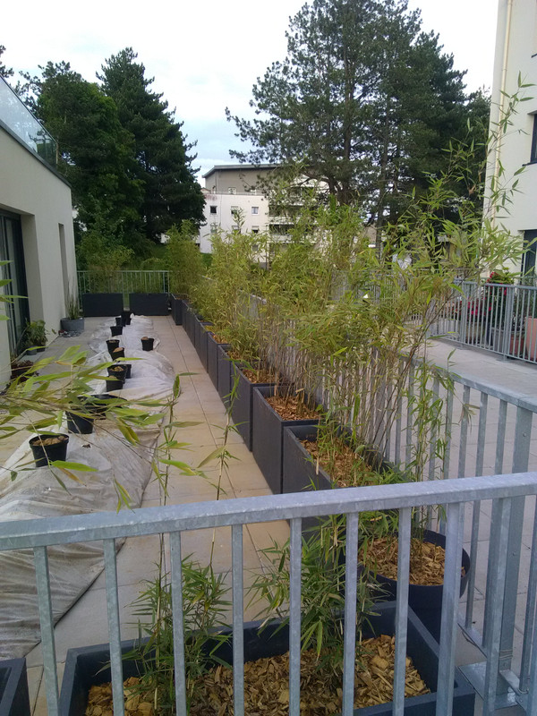 IMG_20180527_202532 (1)