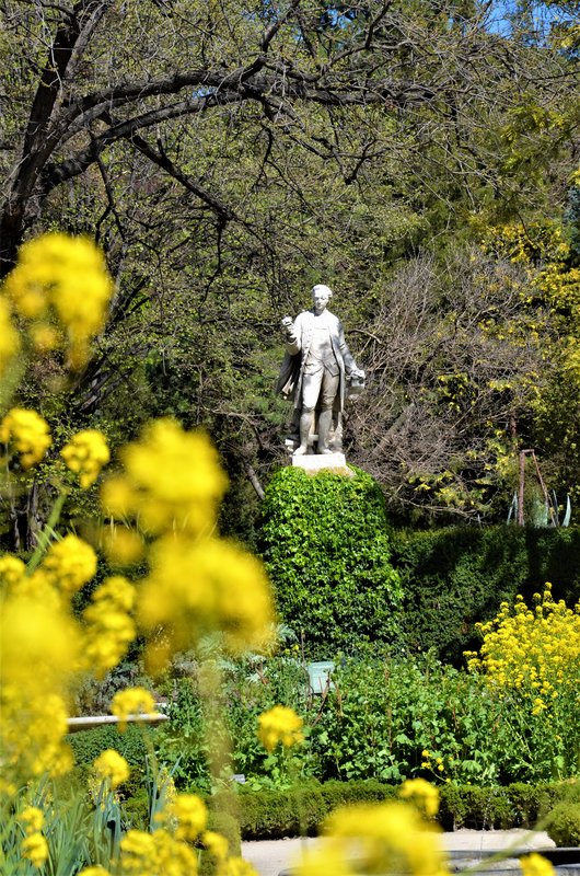JARDIN BOTANICO-13-4-2013-MADRID - Paseando por España-1991/2017 (53)