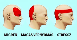 https://i.postimg.cc/bw4kVBqF/faj-a-fejed.jpg