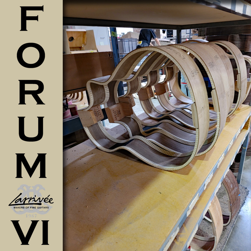 Larrive-Fourm-VI-9.jpg