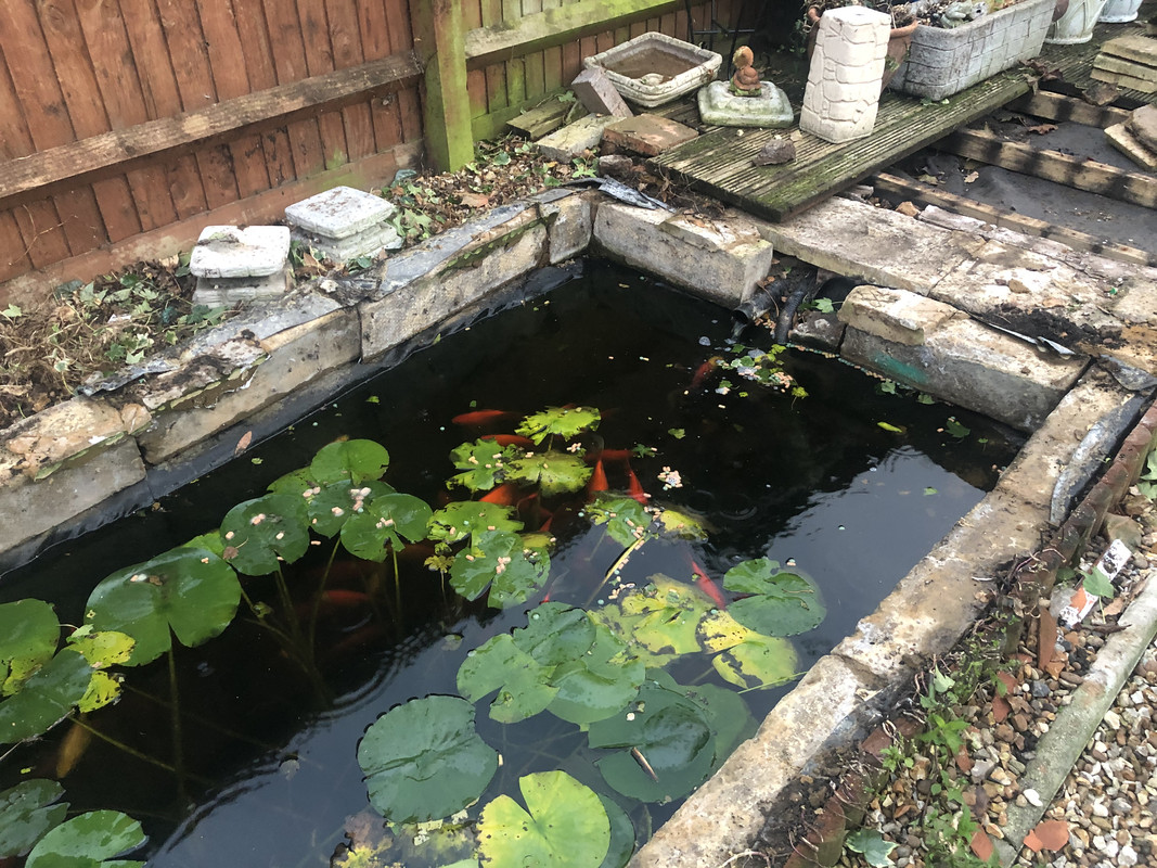 A32795DC-A128-4F26-998C-F449A0203CB2