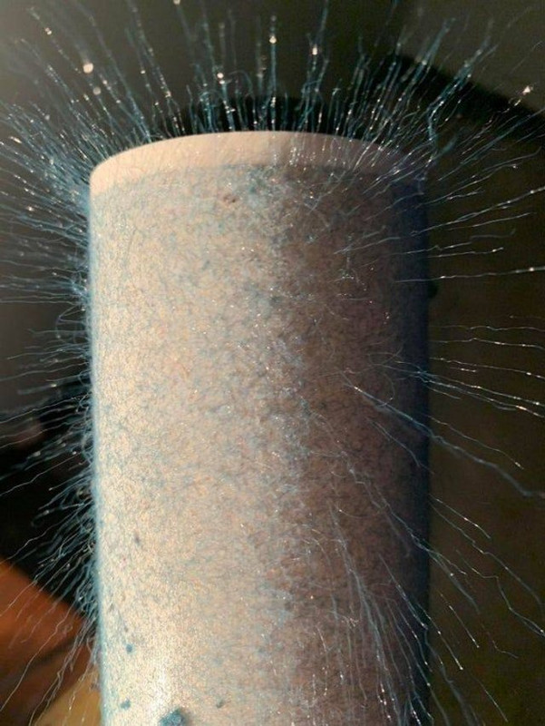 Curiosidades-14