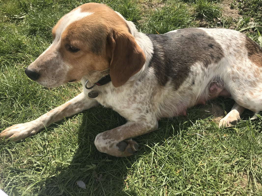 F8A78153-0748-4D0B-9891-0971C703A9D4