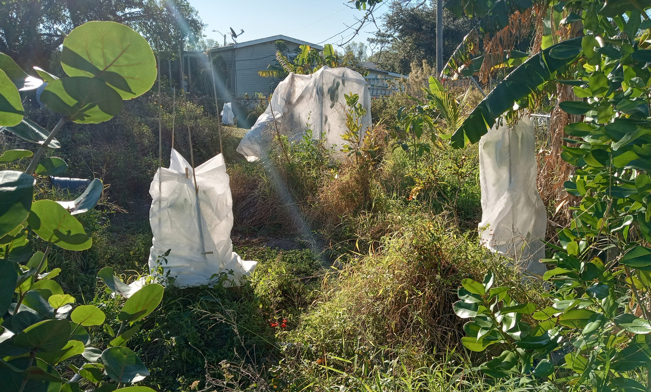 IMG_20250109_092614736_HDR~2