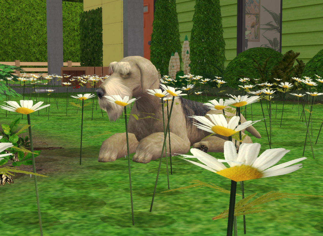 Sims2-EP9-RPC-2024-03-03-11-26-28-42