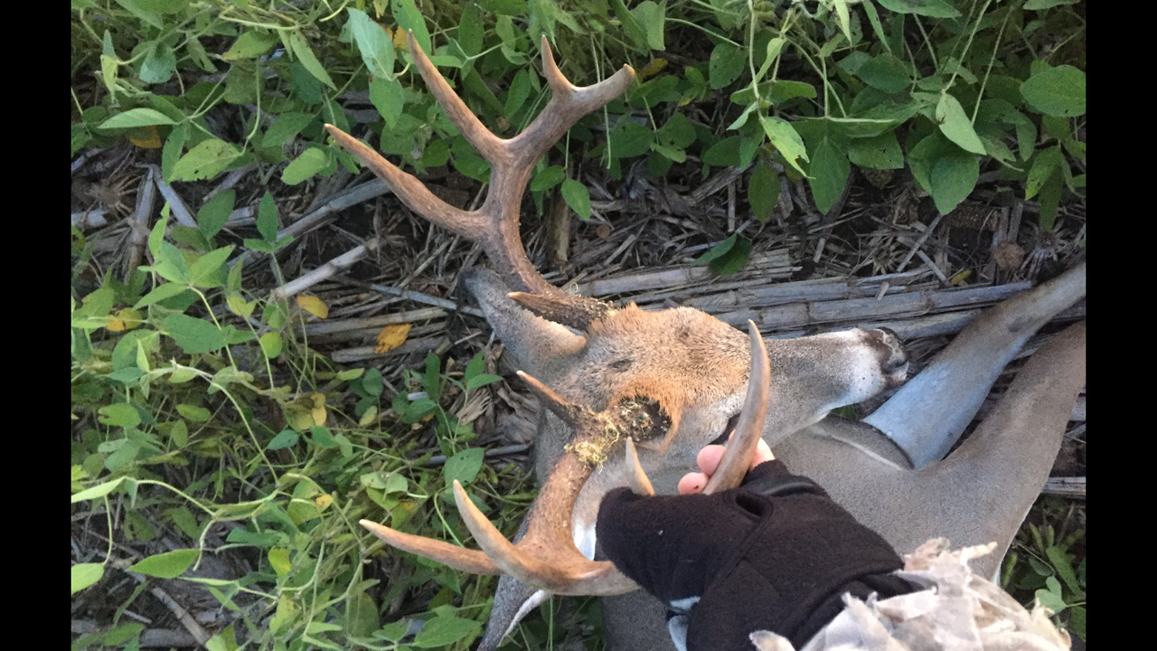 6410FE22-666B-4E02-A25B-ECA25B67D692