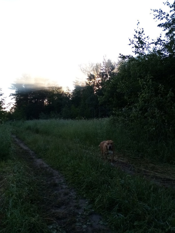 414F738F-4FFF-4750-9372-B77C8395186F