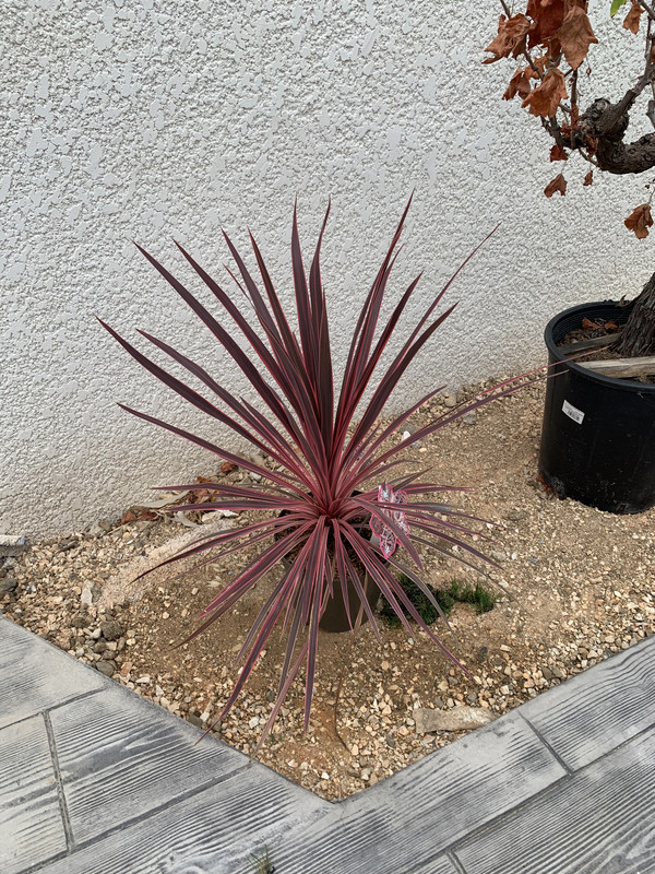 C0016690-0631-446F-BB57-402769A8E4BE