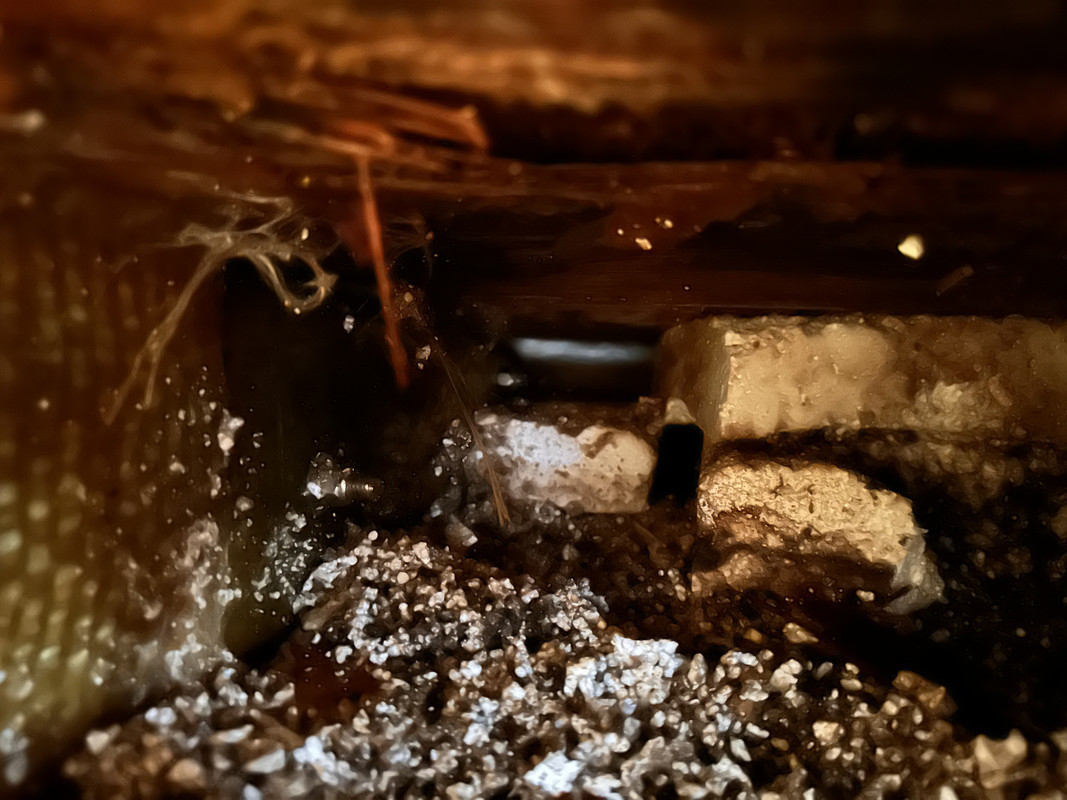 731DEDBC-2174-489F-B5E8-277D90C5EA0F