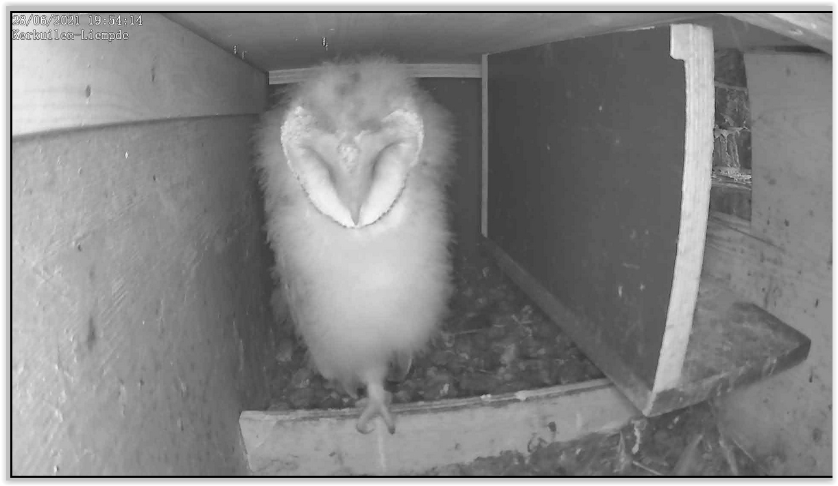 Screen Shot 06-28-21 at 07.54 PM