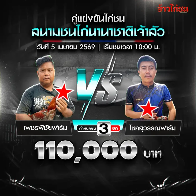 โปรแกรมไก่ชน คู่ เพชรพิชัยฟาร์ม พบ โชคสุวรรณฟาร์ม สนามชนไก่นานาชาติเจ้าสัว