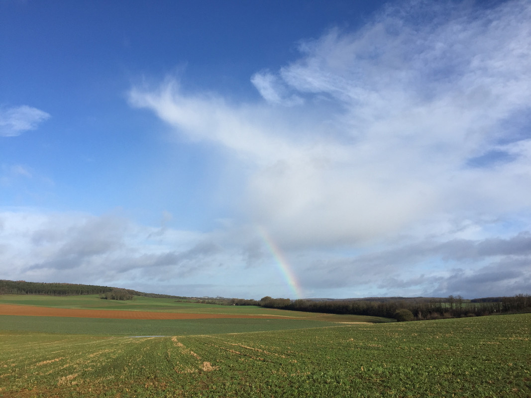 91AEF086-ED6B-4362-9475-74FA6C3EBB62