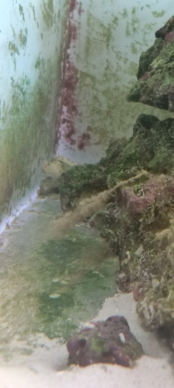 IMG_20211210_100158 (1)