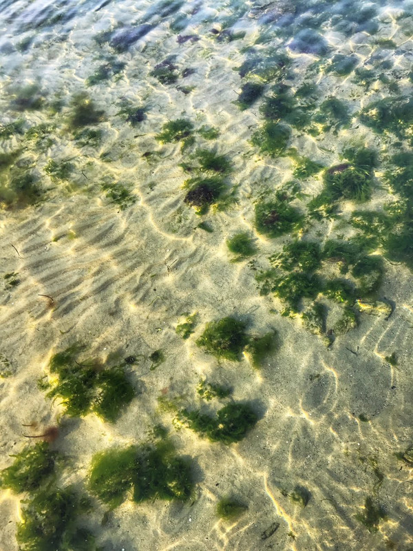 photo5312446268649351511