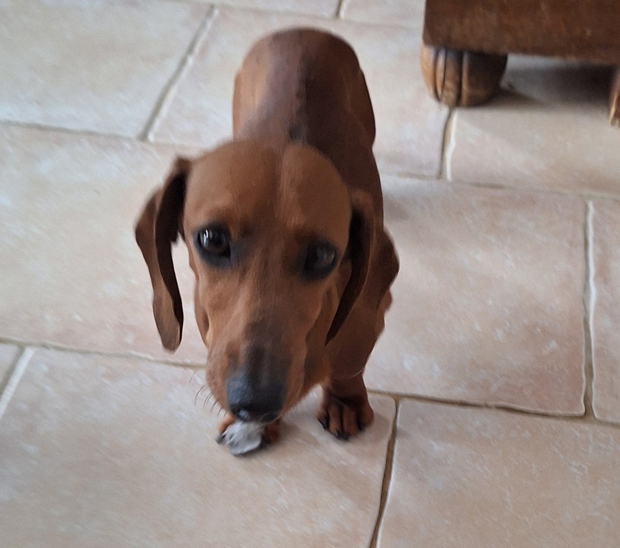 [Image: 20240419-154841.jpg]