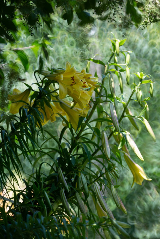 IMG-98b130c0b1bd181cfff90c2422669d3e-V