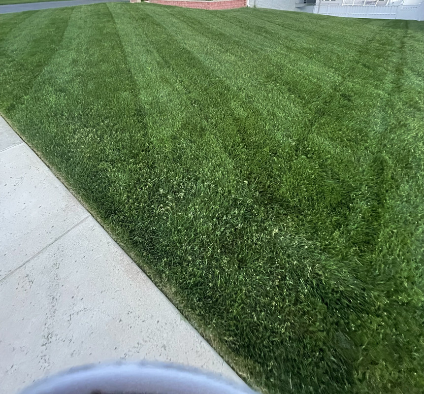 6E621E33-8F79-4433-AE01-826C23441426