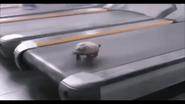 20250201-205229.gif