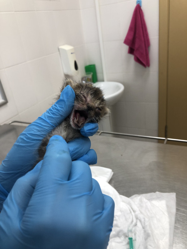 8534AB3B-F849-468D-8B61-FB7B4F51E5A8