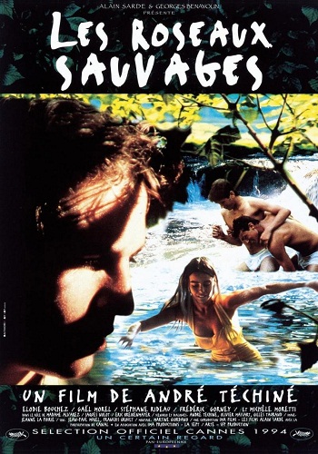 Les Roseaux Sauvages (Wild Reeds) [1994][DVD R2][Spanish]
