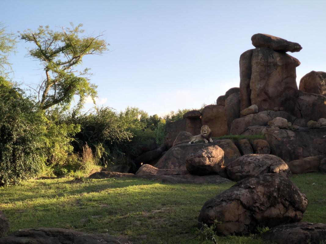 5C46A427-9225-49E5-8C04-7D90BF852985