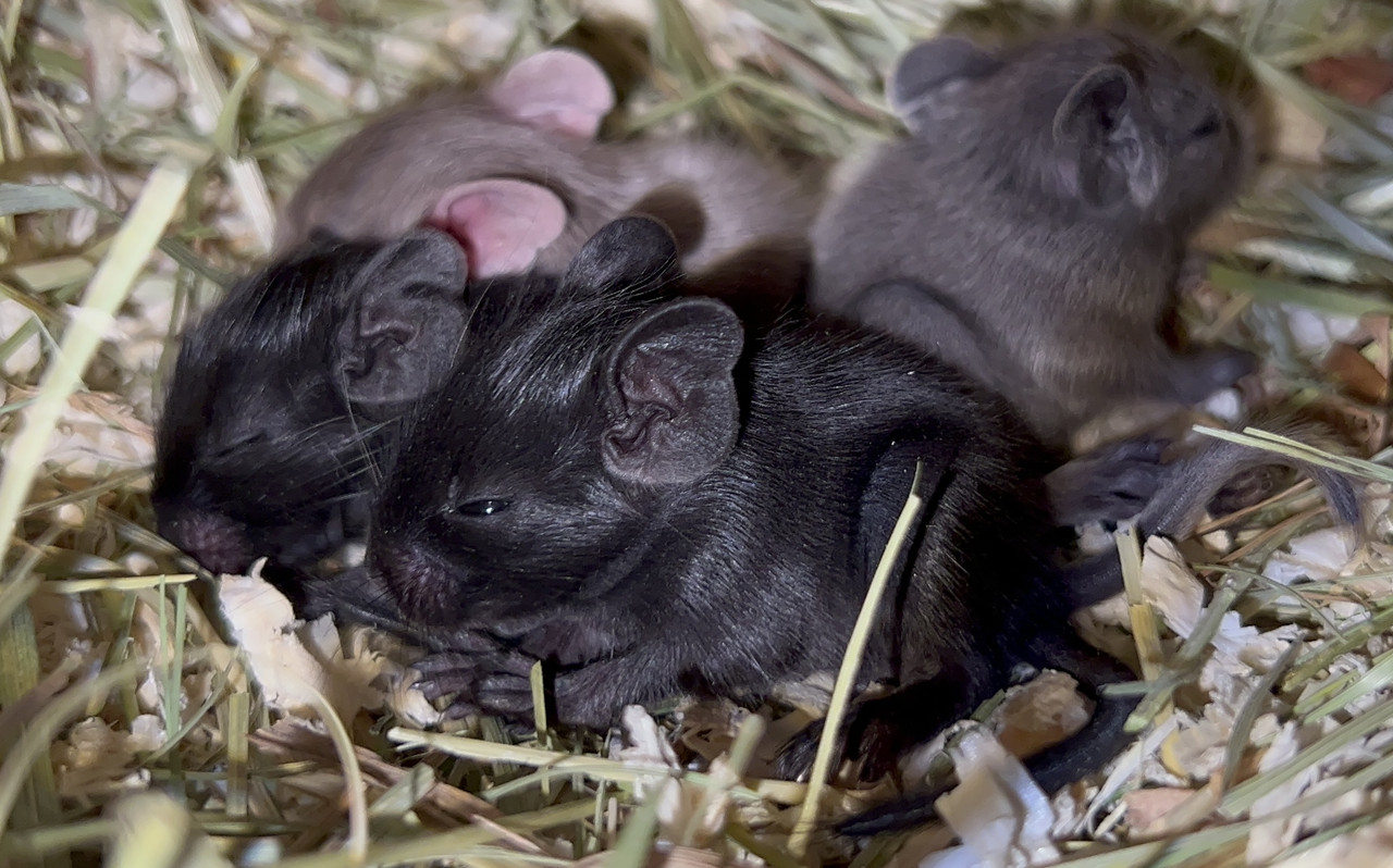 D7A3774F-837A-4AE9-8ACF-1B9322E62D63