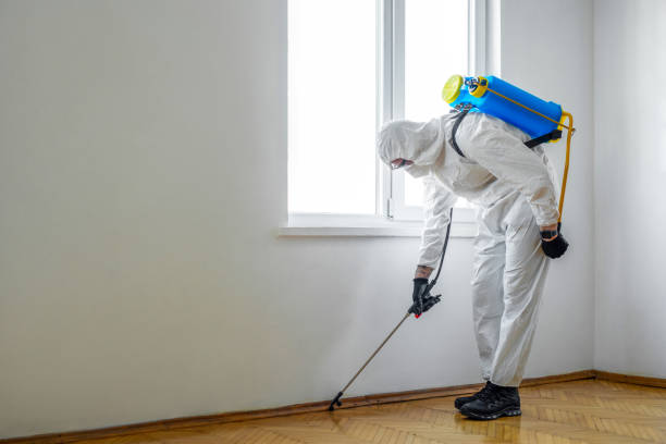 Orlando Termite Treatment