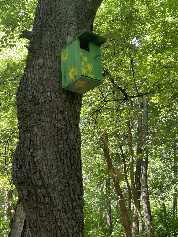 473A64E2-AD28-4A8D-8998-FD5B297B4EE7