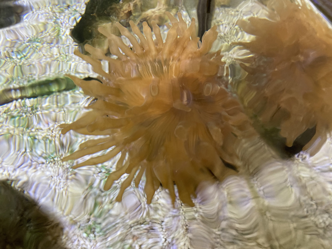 E483FE2C-6A0A-436F-A8D3-030FDE805D66