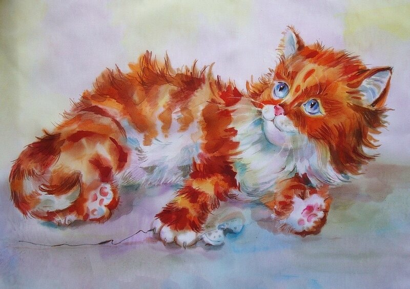 0-c0c6c-3d00a6a0-XXL