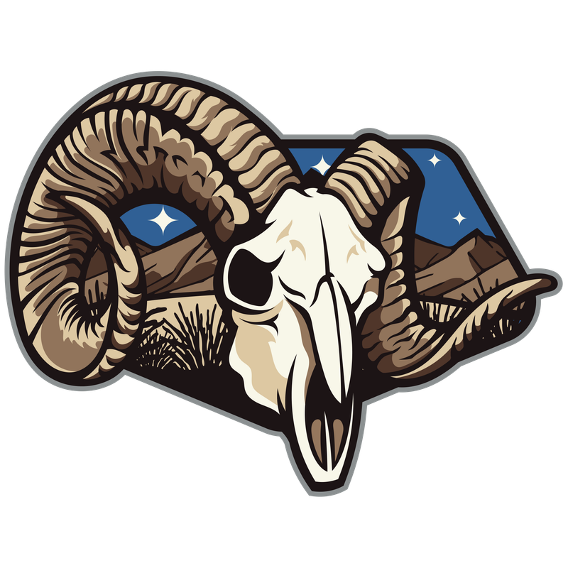 Bighorn Sheep Skull Illustration