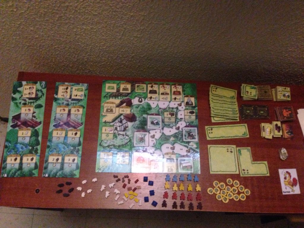 WhatsApp Image 2017-07-30 at 21.11.45 (1)