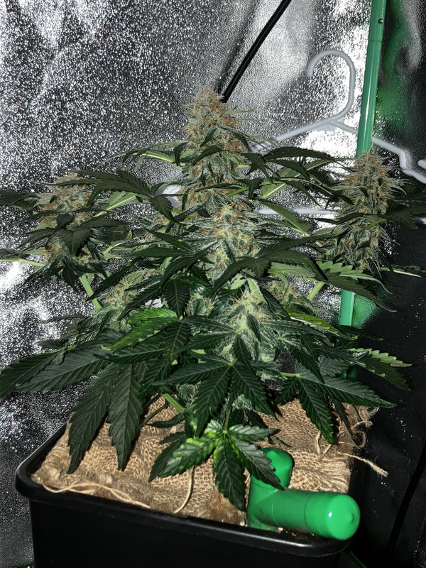 C31F4380-714B-4266-9337-36100BCA0941