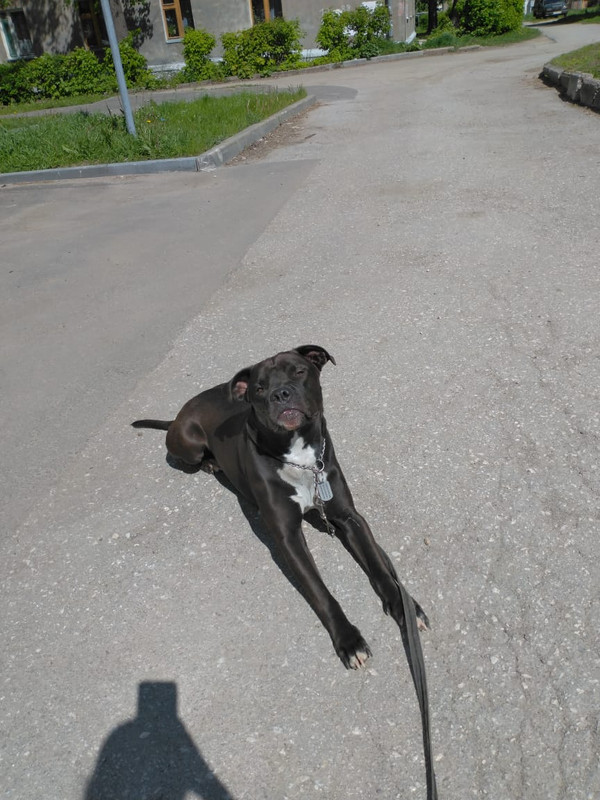 4451CB82-62E8-42B8-8FAB-6F042F0FF059