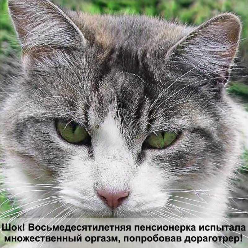 бенгальская кошка окрас марбл