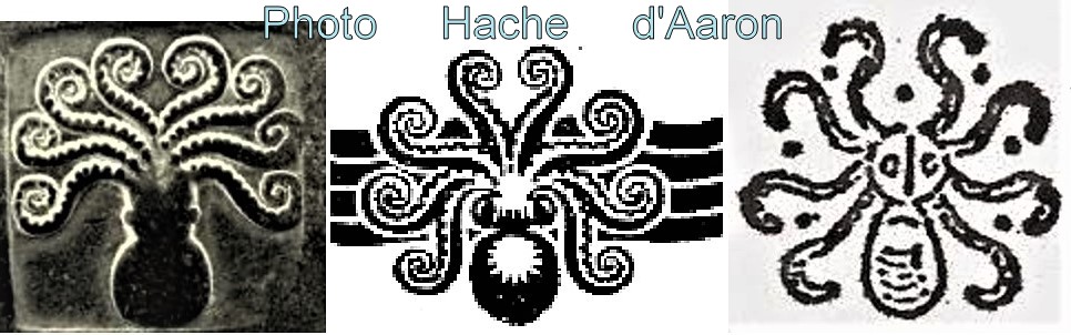 Poulpe de la Marquise Atlantéenne H D'Aaron