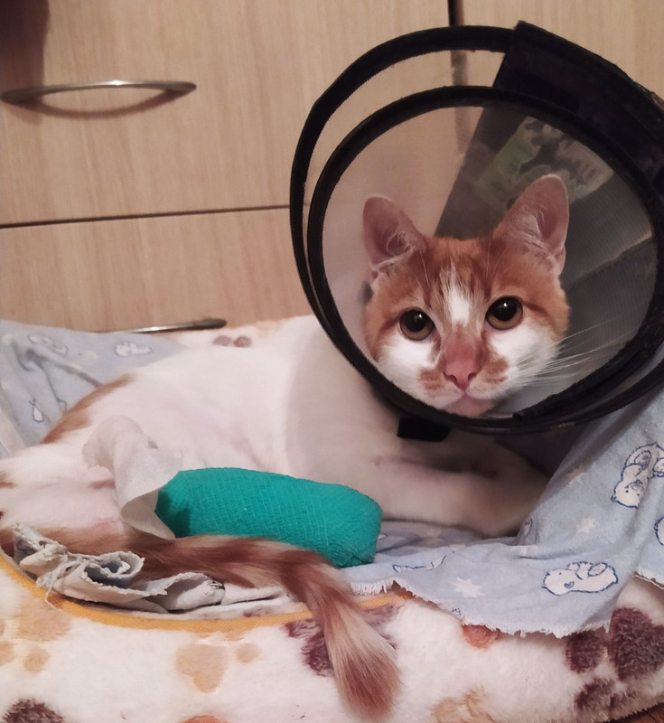 изображение_viber_2022-11-10_16-45-37-577